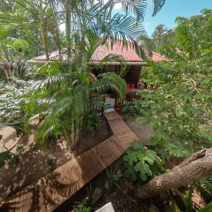 Dans Un Jardin Terre-De-Haut